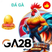fun88 Game 07
